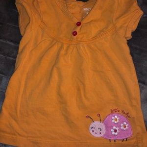 Ladybug Shirt